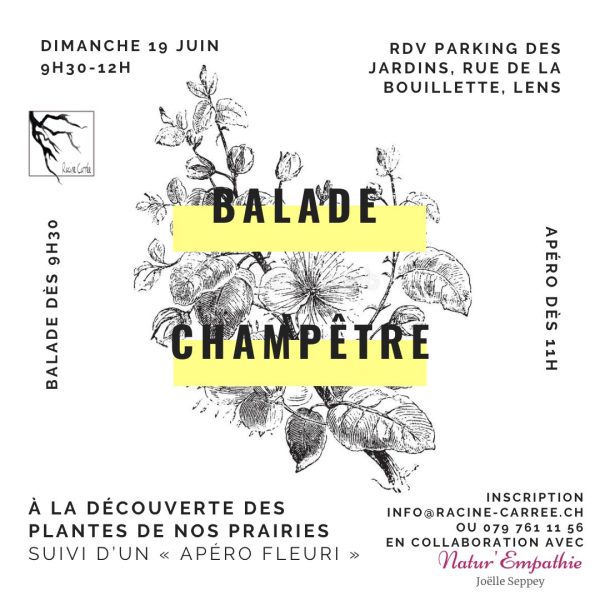 Affiche balade champetre